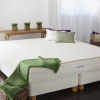 serenity latex mattress savvy rest full.jpg