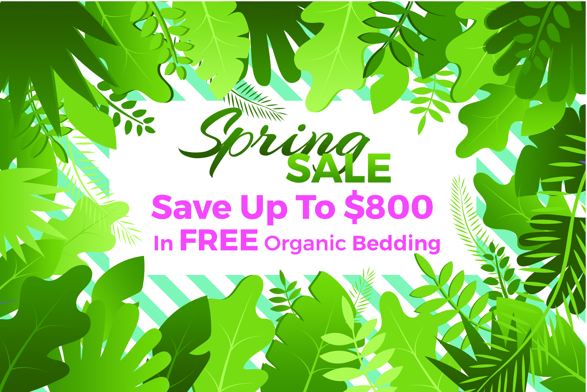 Spring Sale · Houston Natural Mattress