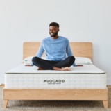 avocado city bed frame city collection 2224