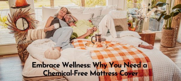 houstonnaturalmattress chemical free mattress cover