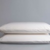 organic pillowcase encasement 003