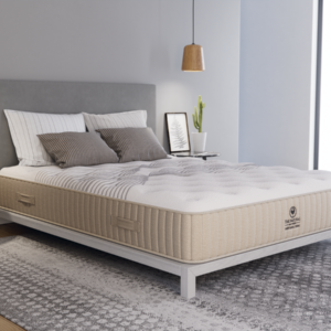 Nirvana Firm NMHNVF RoomAngle