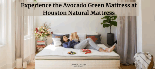 Experience the Avocado Green Mattress at Houston Natural Mattress