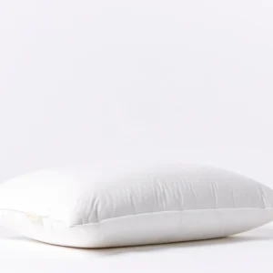 down pillow a fall21 0742 b0427b28 cf6e 4412 9259 bae78b55ee74